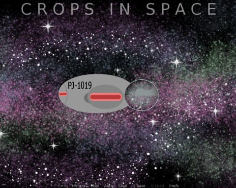 Crops in Space