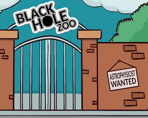 Black Hole Zoo