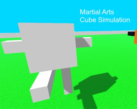 Martial Arts Cube Simulation