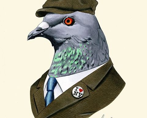 Avian Internet service provider