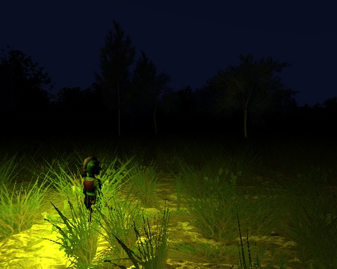 The night journey