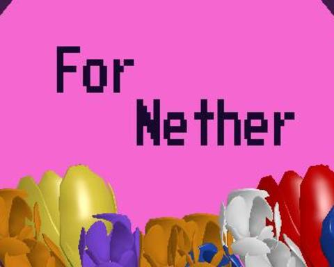 For Nether!