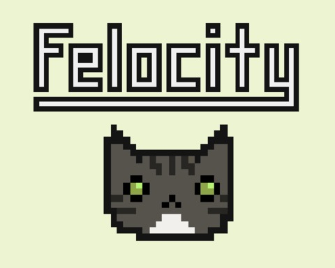 Felocity
