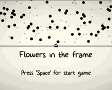 Flowers in the frame