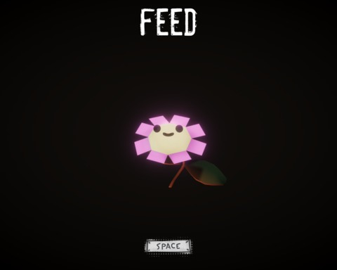 FEED