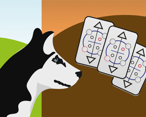 Card Walk