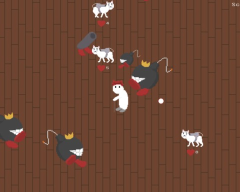 Cat Pack