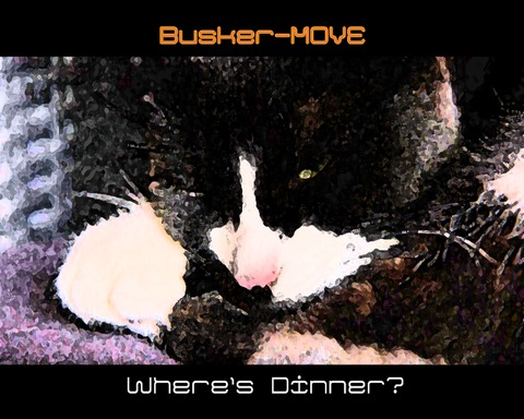 Busker-Move : Where's Dinner?