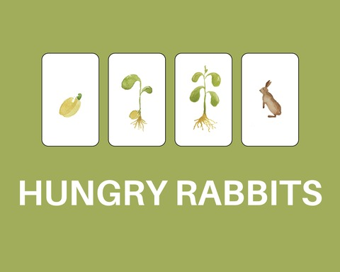 Hungry Rabbits