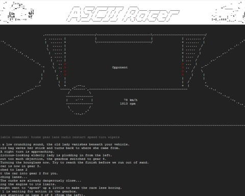 ASCII Racer
