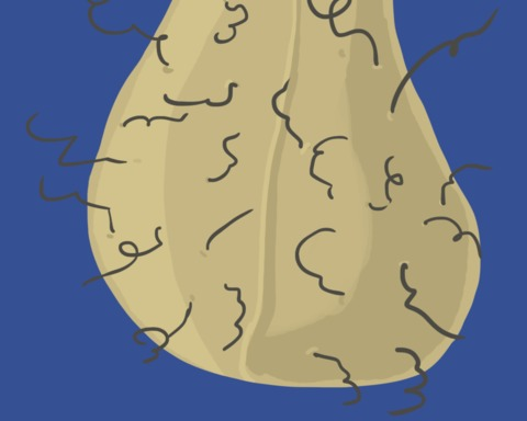 Birth of a Man