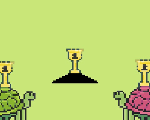 Not a turtle race! (Multiplayer)