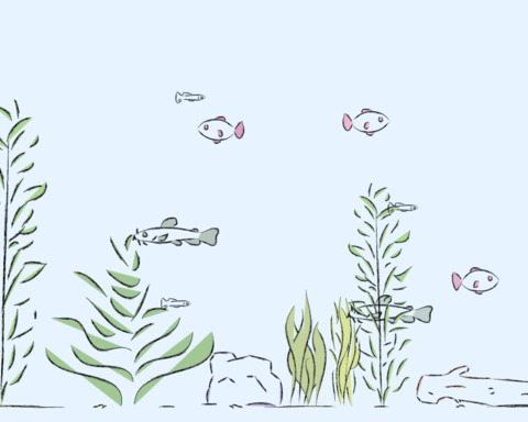 Fish tank Royale