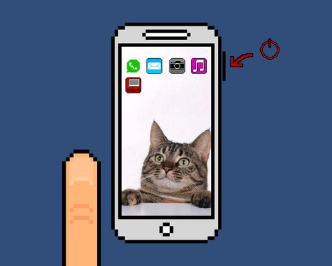Mr. Finger