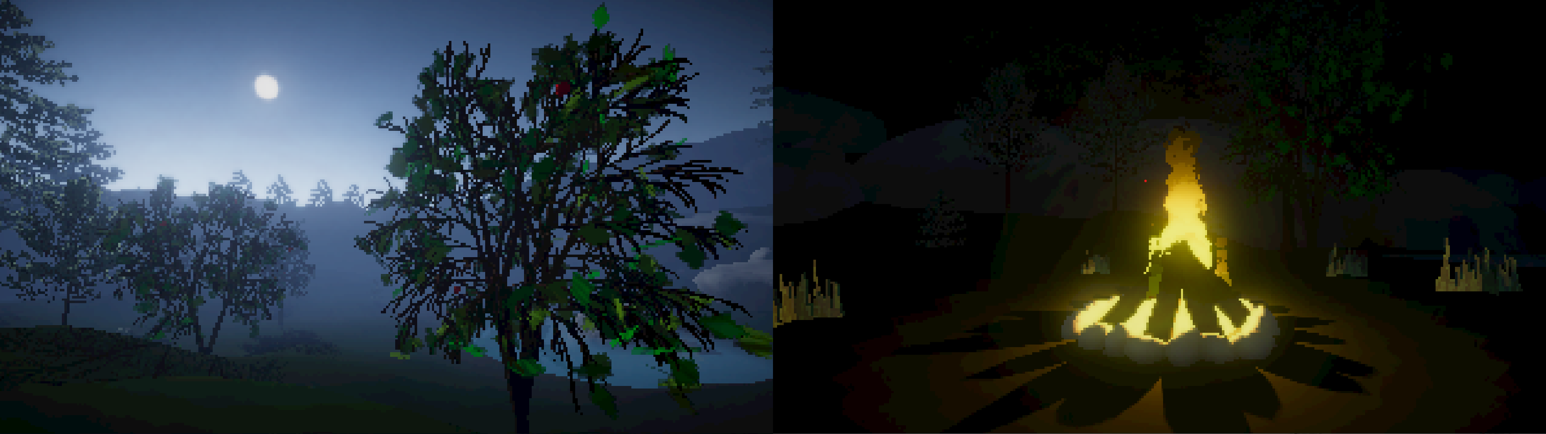 collage3.png