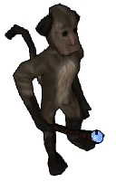 monkey2.png
