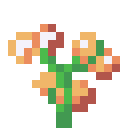 orange.gif