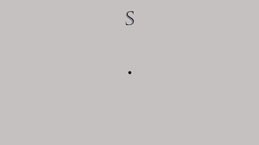 S.gif