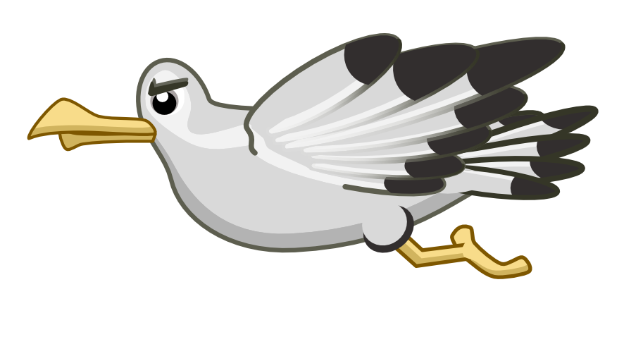 seagull_flying_3.png