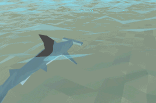 shark2.gif