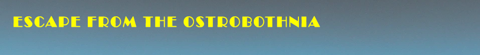 banner.png