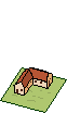 casa30.png