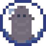 guineaPig.gif