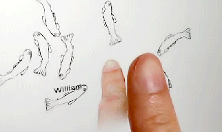 gif_1.gif