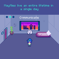 mayflies_small.PNG