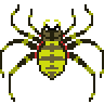 Spider_Joro.gif