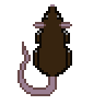 Rat_Brown.gif
