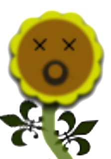 Head.PNG