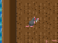 rat.gif