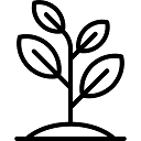 005-nature-1.png
