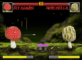 Gameplay.gif